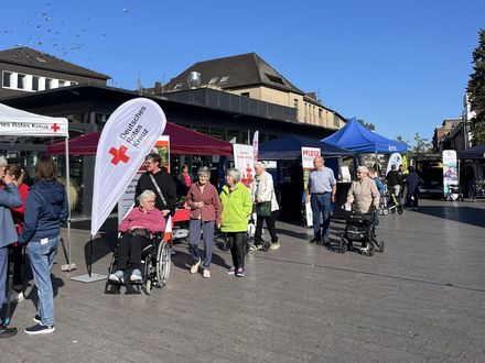 Eine Gruppe älterer Menschen geht an diversen Ständen auf einem Marktplatz entlang.